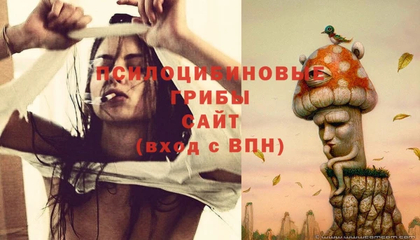дживик Алексеевка