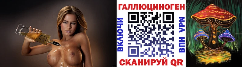 Псилоцибиновые грибы Psilocybe  Курган 